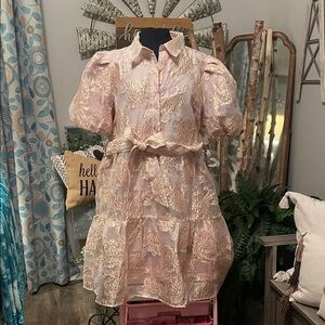 Chic Soul Blush Floral women’s Dress